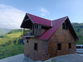 Diamond Tree House